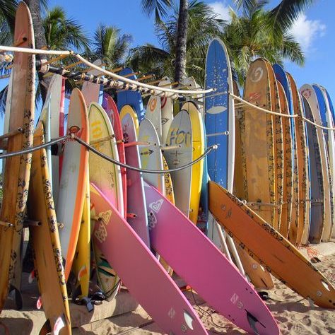 2eeacdc5b1f8a2e2f59332542cc48cfc-1 Surfboards